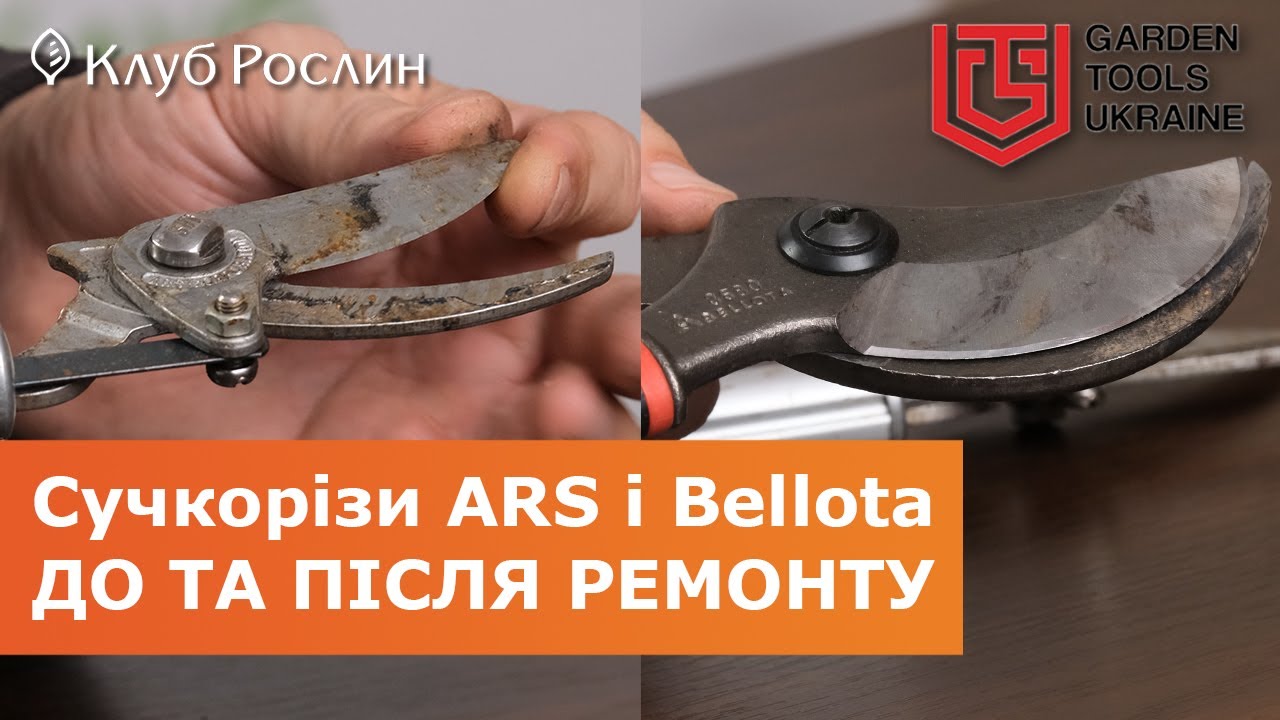 САМУРАЙ ПРОТИВ МАТАДОРА: обзор сучкорезов ARS и Bellota после активной обрезки веток