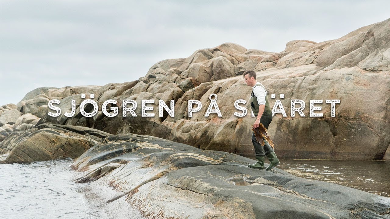 Sjögren på skäret