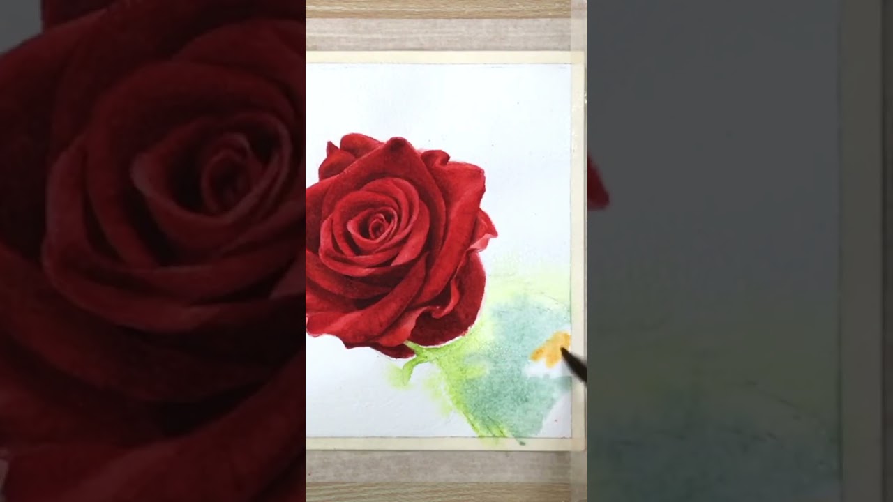 Painting Rose in Watercolor #shorts