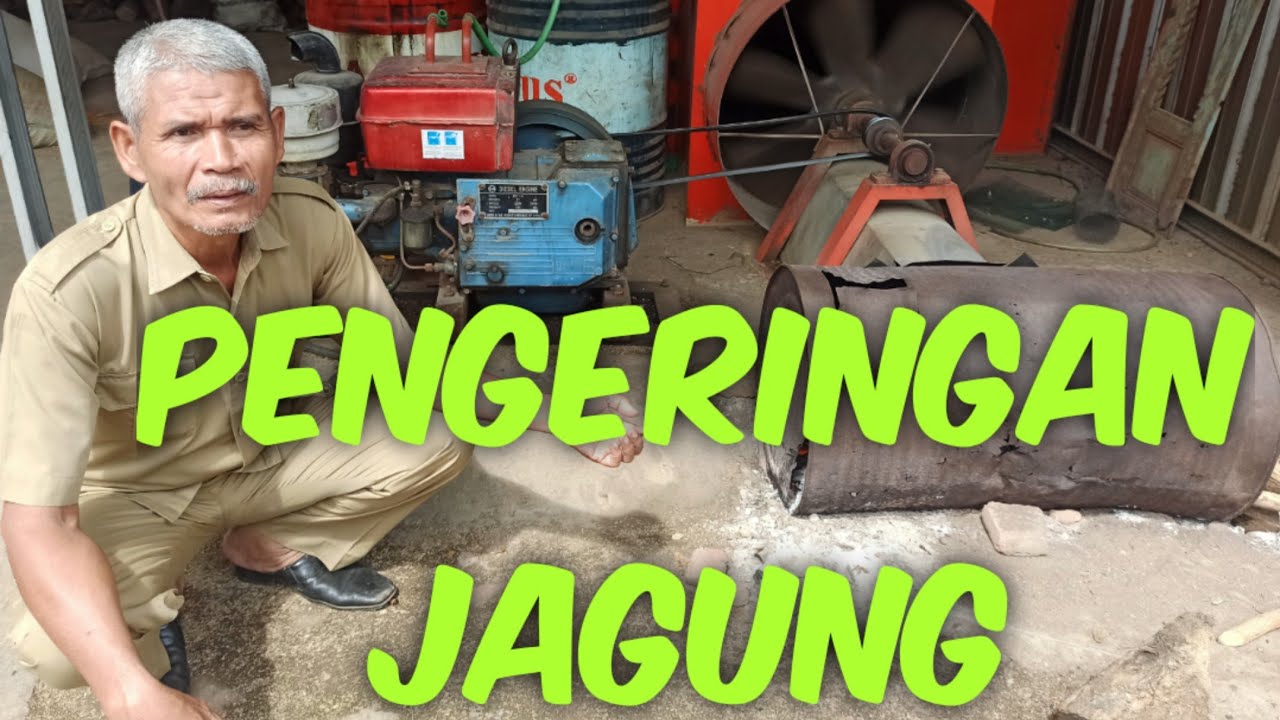 Pengeringan #Jagung menggunakan blower @gasik channel
