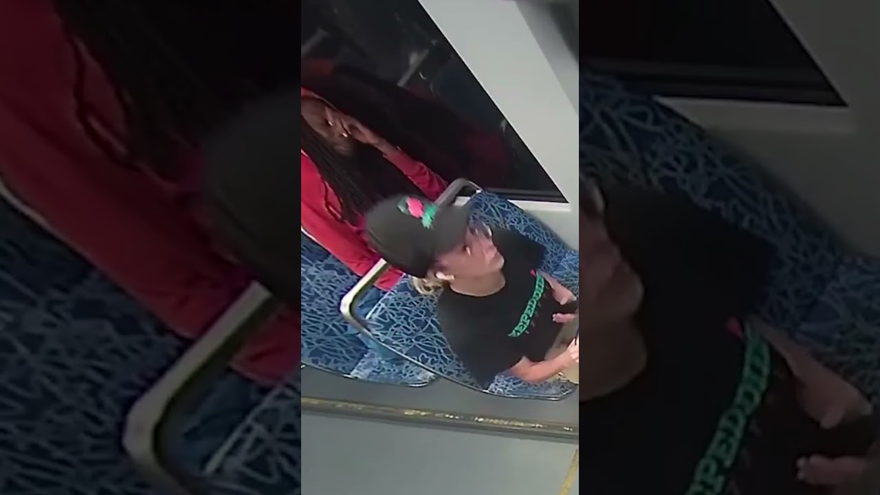 Video Shows Moments Before Fatal Stabbing on North Carolina Train #shorts