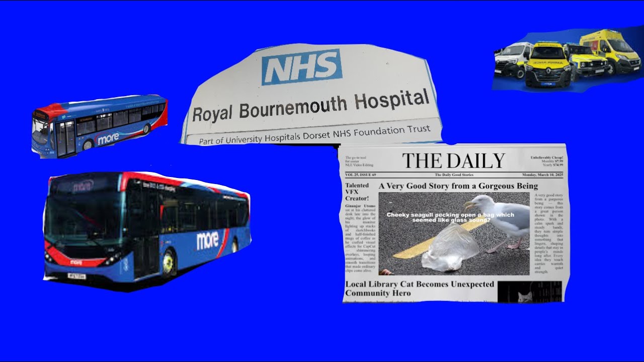 Buses & ambulance spotting at Royal Bournemouth Hospital+the peckish seagull scavenging for food