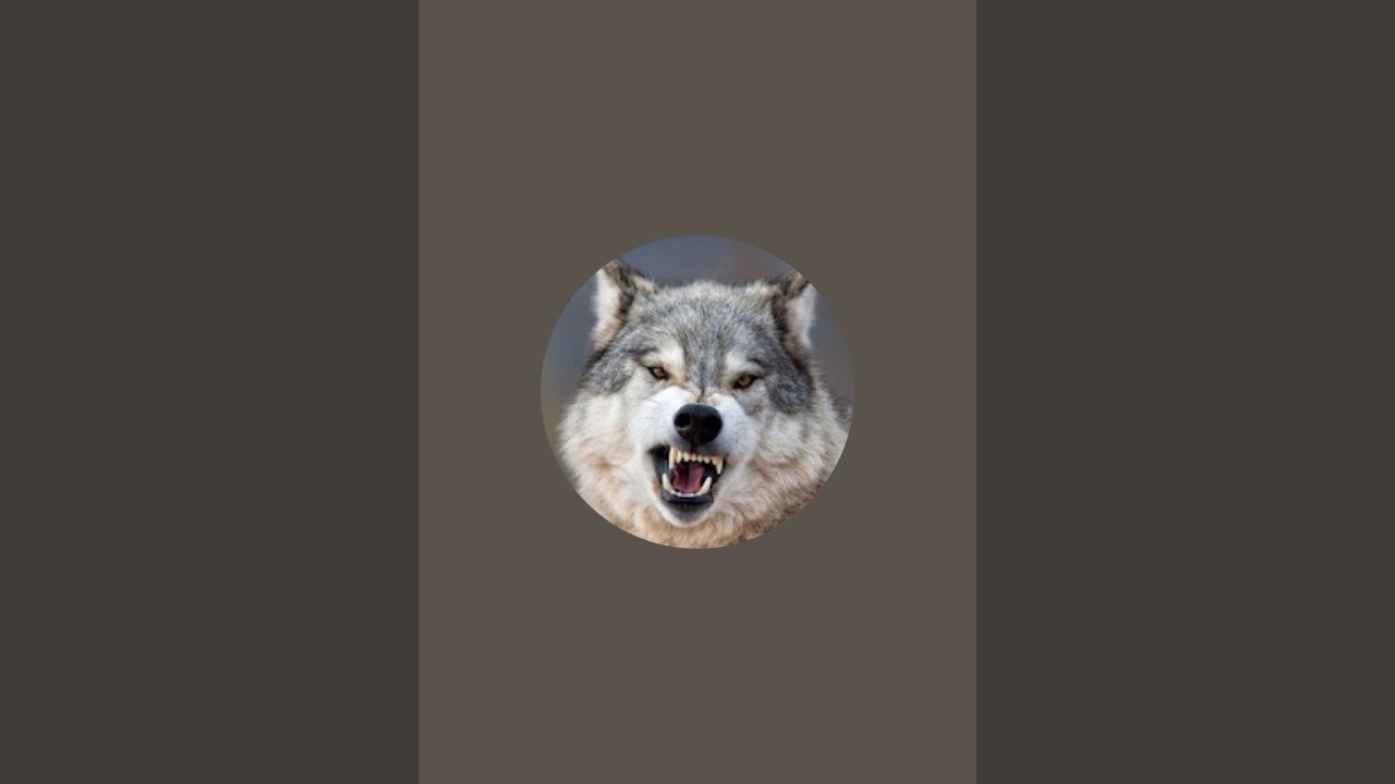 &iexcl;Edd wolf est&aacute; emitiendo en directo!