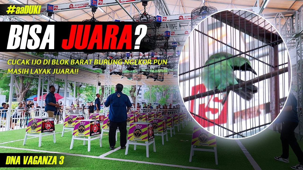 Jangan KAGET Kalo Disini Bisa Juara