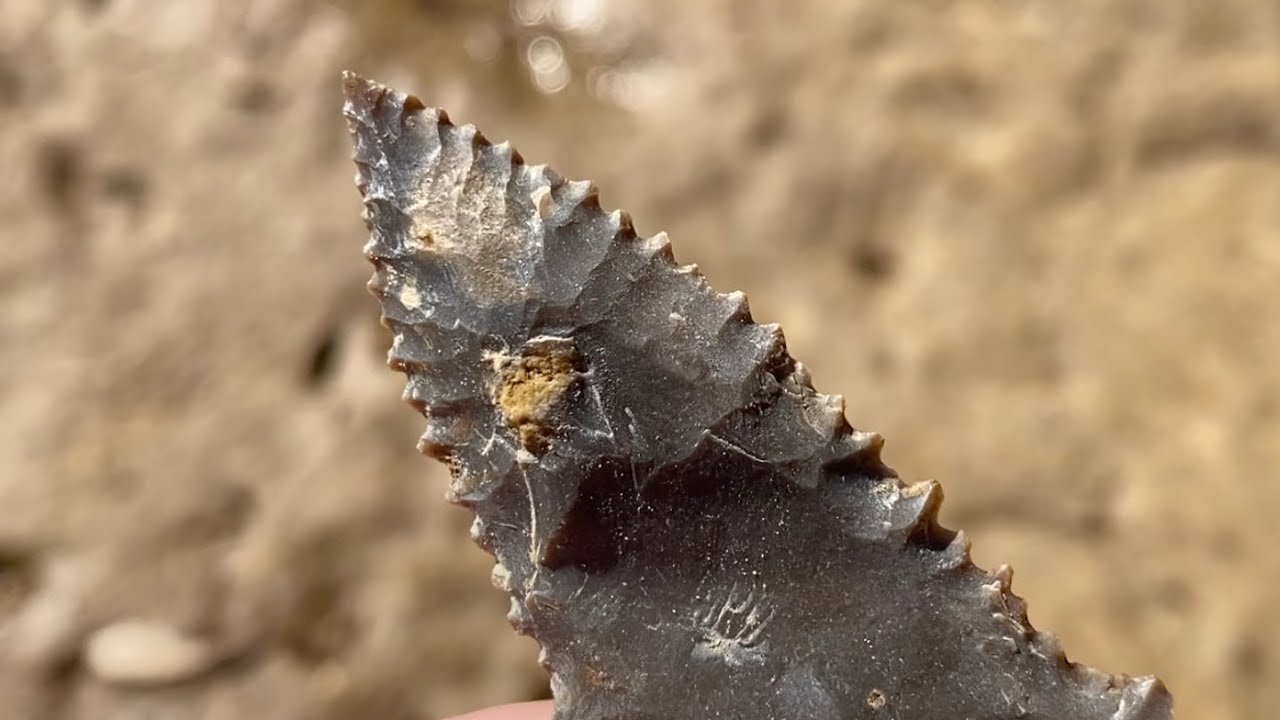 Arrowhead hunting TN - The tip and serrations are INCREDIBLE!