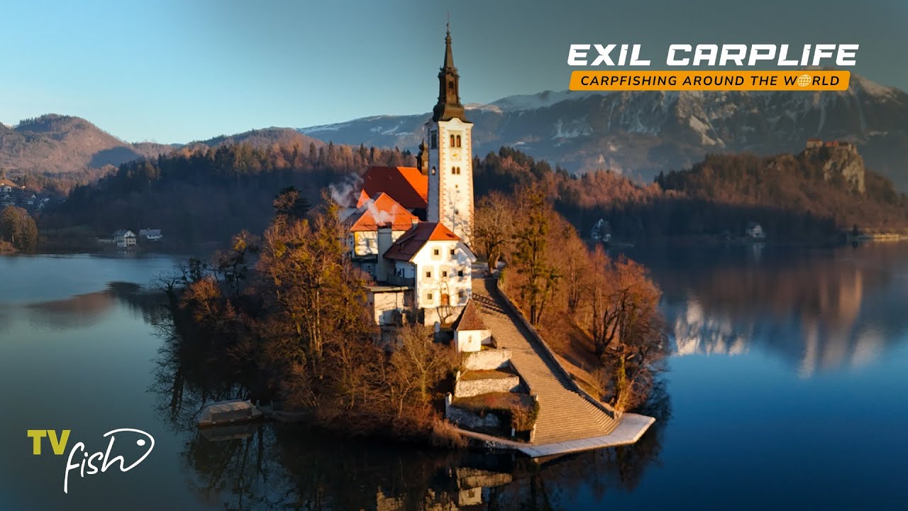 Zimní lov kaprů na Bledu | Exil Carplife | Za kapry po světě | Petr Rubeš | TVFish CZ-SK