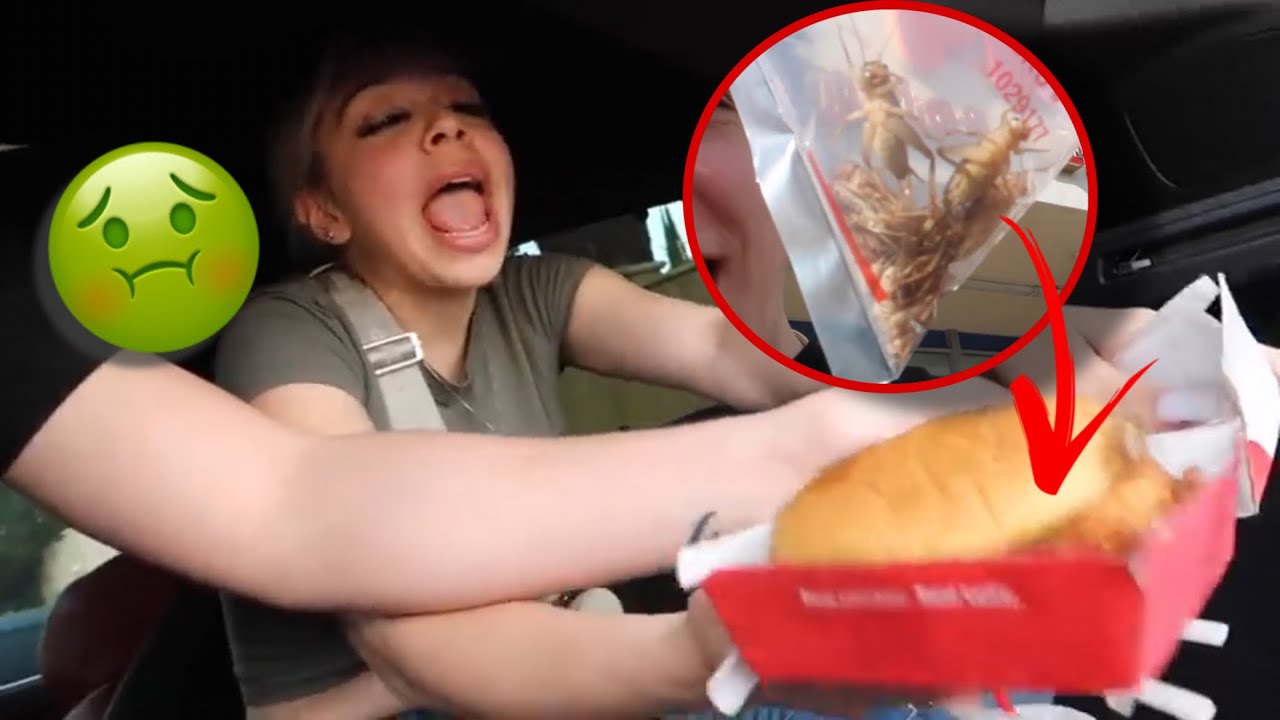 Я ПОДЛОЖИЛ ЖИВЫХ СВЕРЧКОВ В ЕДУ БРИТНИ!! *ОНА ВЗБЕЖАЛА*