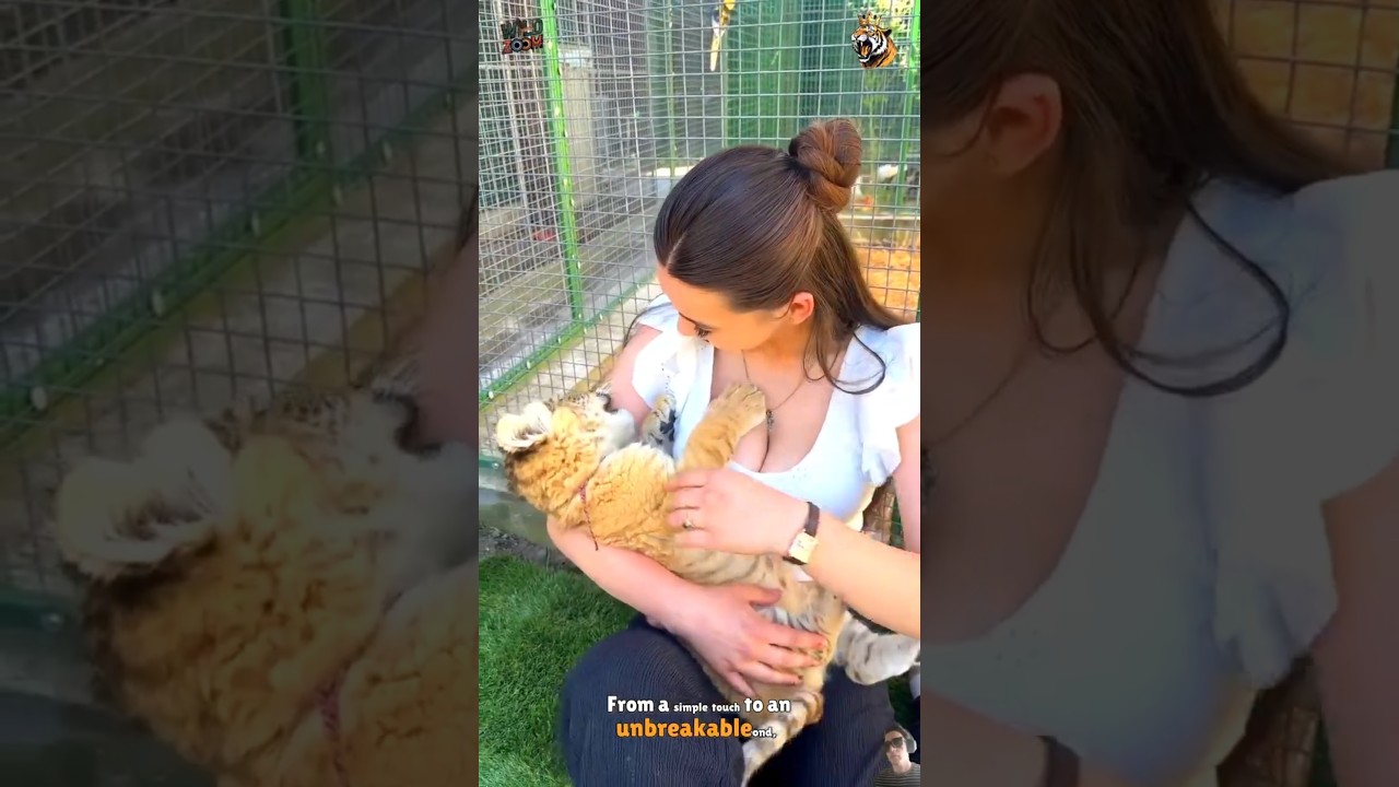 No Words&hellip; Just Pure Love ❤️ The Most Emotional Animal Moments Part 5