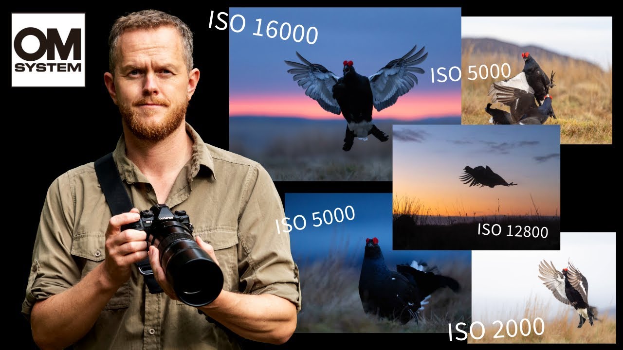 Tips for OM System in Low Light | High ISO | DxO PureRaw 5
