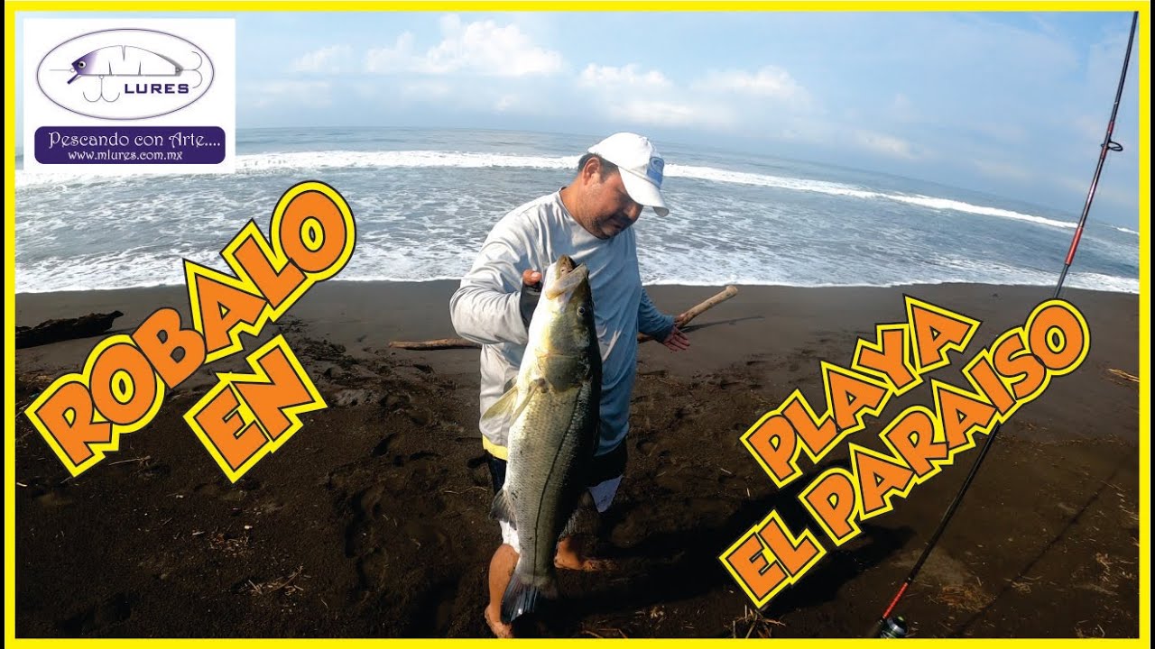 ROBALO CAPTURADO EN PLAYA PARAISO, ARMERIA, COLIMA CON BAILARINA V2 VERDE DE #MLURES