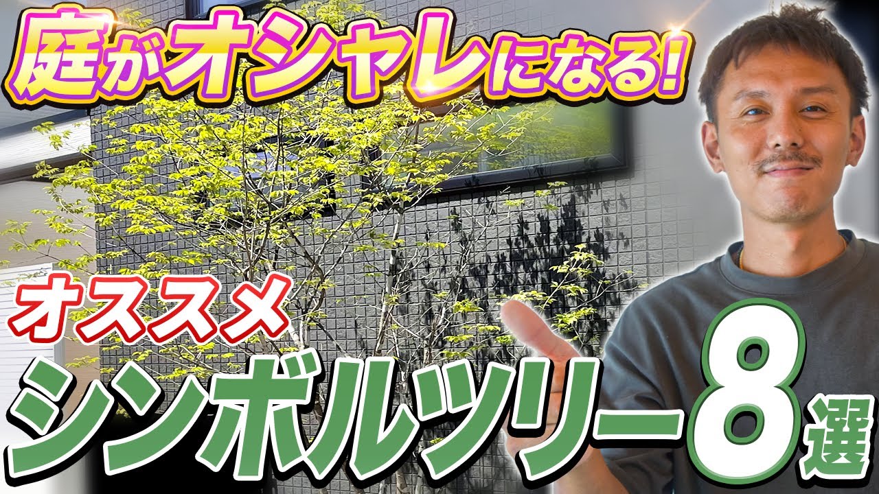 【これで迷わない！】外構やお庭に植える人気のシンボルツリーをプロが実物で解説！【植栽】【外構】【植木】