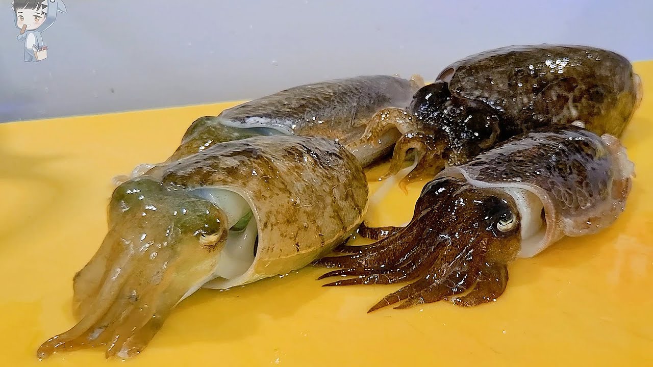 KOREAN STREET FOOD SQUID CUTTLEFISH SASHIMI KOREA SEAFOOD MARKET 포항 송도 활어회센터 갑오징어 오징어 090422