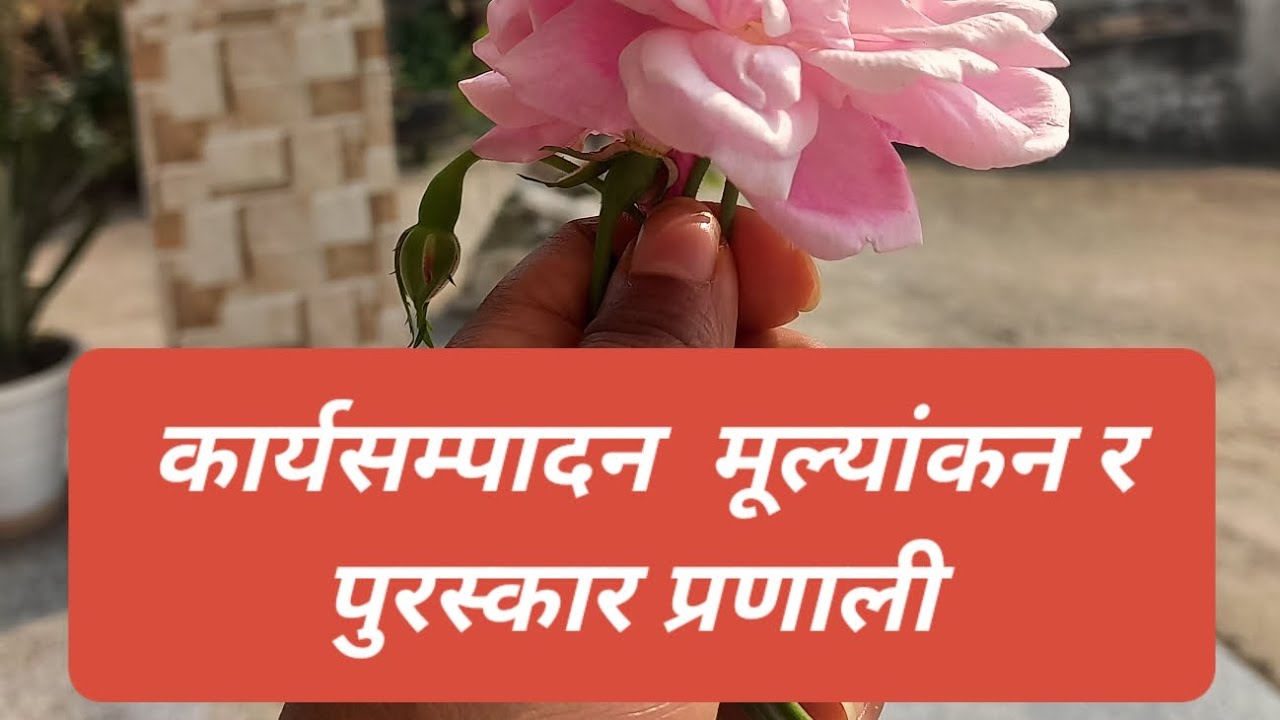 कार्यसम्पादन मूल्यांकन तथा पुरस्कार प्रणाली । #performance #appraisal #education #loksewa #students 