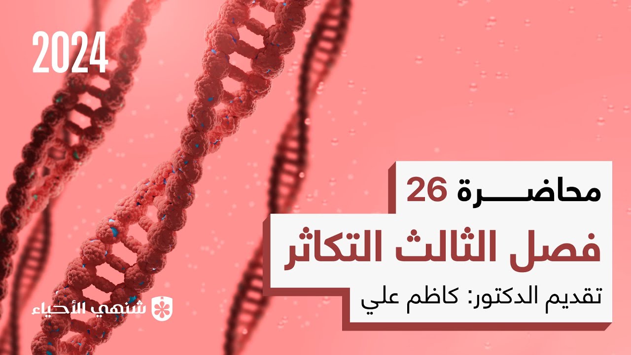 الدوره الرحمية و المبيضية | محاضرة 26 | أحياء السادس العلمي الفصل الثالث