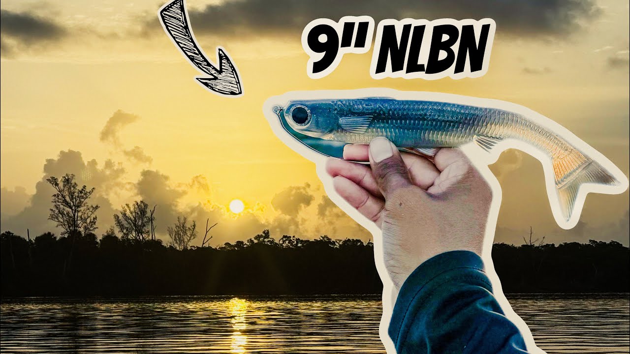 FISHING THE NEW NLBN 9” K-TAIL FOR SNOOKS!
