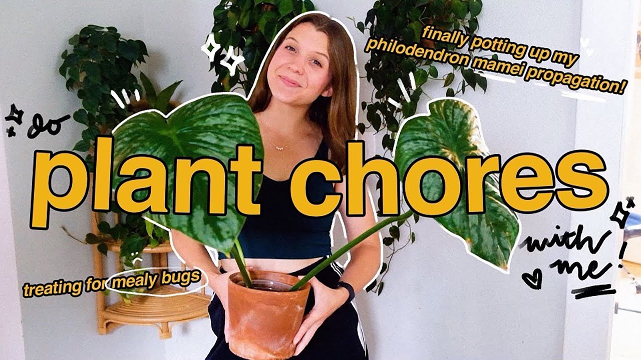 getting rid of mealy bugs & potting up my philodendron mamei!! | plant chores 🪴💪