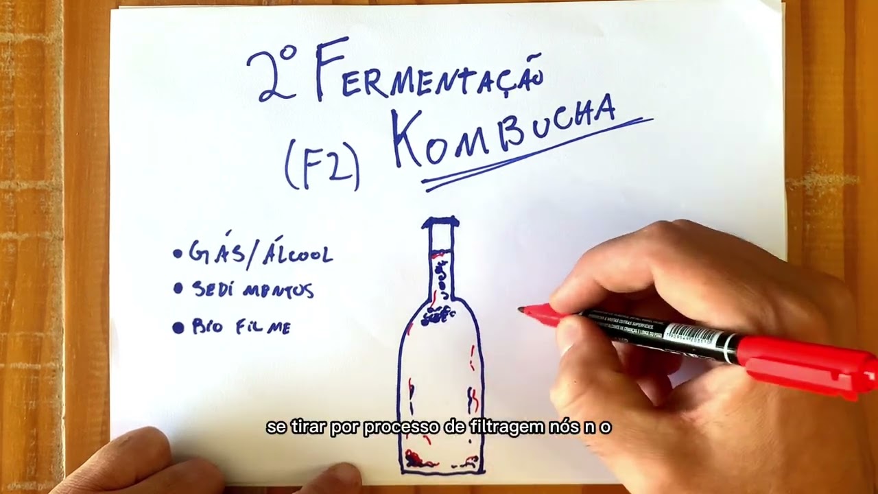 2 Fermentação da kombucha  - desenhando e explicando