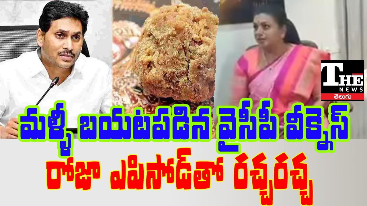 Political Damage Control Fails? YSRCP Faces Backlash Over RK Roja Remarks