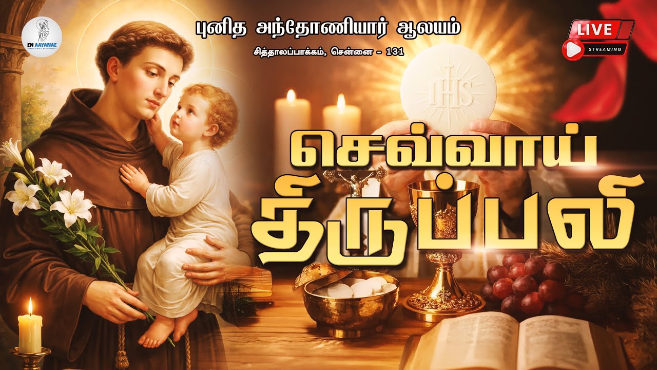🔴 LIVE - செவ்வாய் திருப்பலி | Tuesday | Tamil holy mass Today - 10.02.2026 #stantony