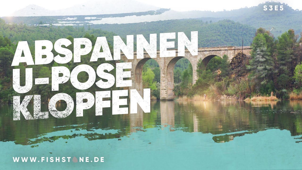 S3E5 Welsangeln am Ebro in Spanien - FISHSTONE's Angelwelten