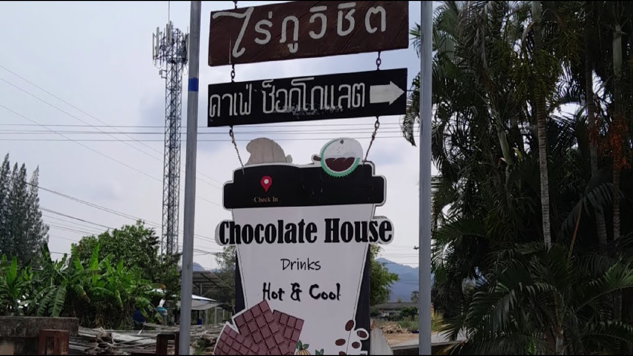 Forget Swiss Chocolate: Why THAI Farmers Are Growing the World's Best Cocoa Beans 