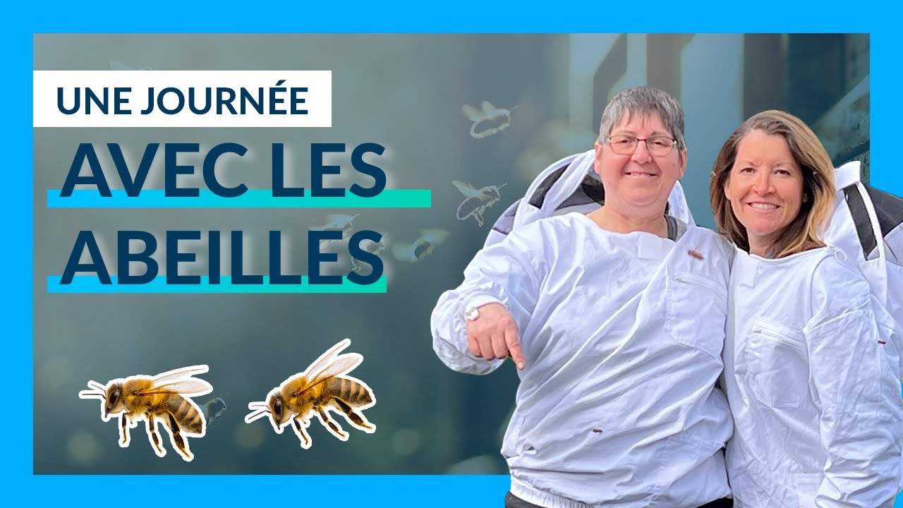 24H DANS LES RUCHES D'UNE APICULTRICE (c'&eacute;tait fascinant) | Mon Programme pour Agir