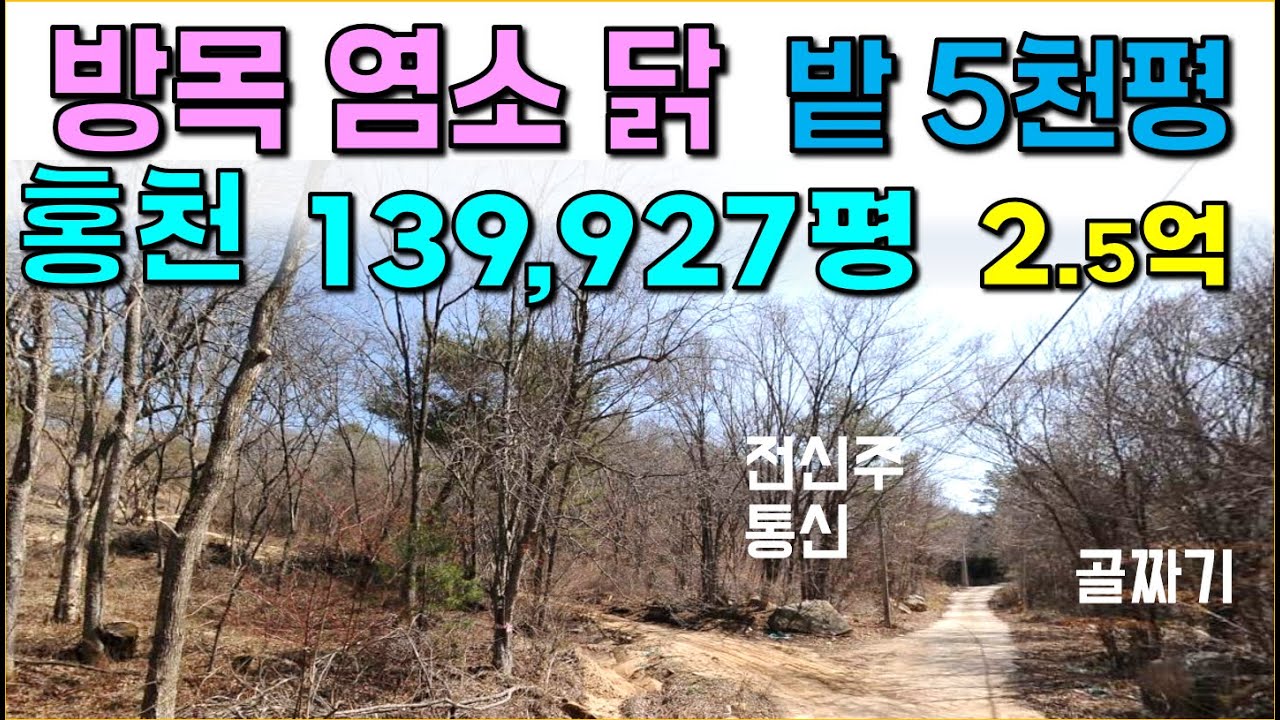 홍천 . . 139,927평 / 방목 염소 닭, , 밭으로 5천평 사용,, 도로, 전기, 통신 / 계획, 보전관리지역,, 산양삼 등 여러 용도로 활용가능