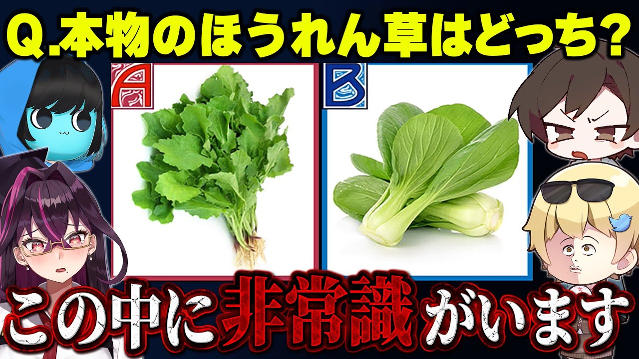 有名YouTuber達に『一般常識クイズ』に挑戦してもらったら非常識すぎたｗｗｗｗ【キムテス/おっP/あーずかい/毒ヶ衣ちなみ/毒★あきお】