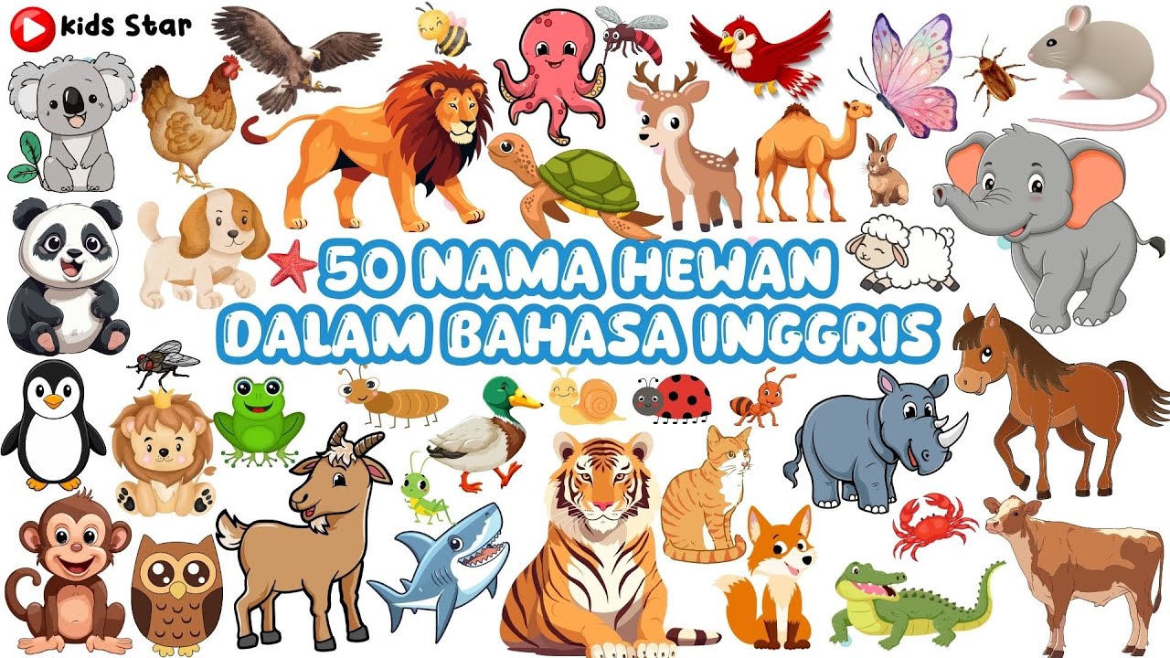 50 NAMA HEWAN BAHASA INDONESIA & BAHASA INGGRIS | BELAJAR NAMA HEWAN BINATANG LEARN OF ANIMALS NAME