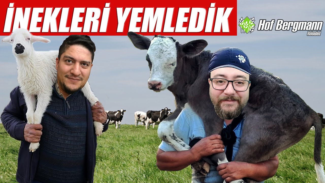 İNEKLERİ YEMLEDİK // BECERİKSİZLİK DİZ BOYU 😂 // HOF BERGMANN #5 | FS19 !!
