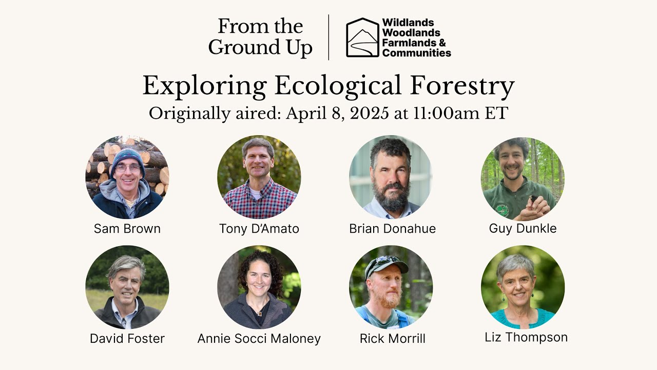 Exploring Ecological Forestry Webinar 2025 - From the Ground Up