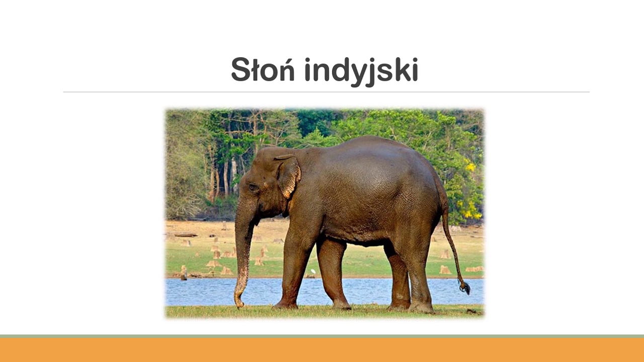 Filmowa podr&oacute;ż po Azji