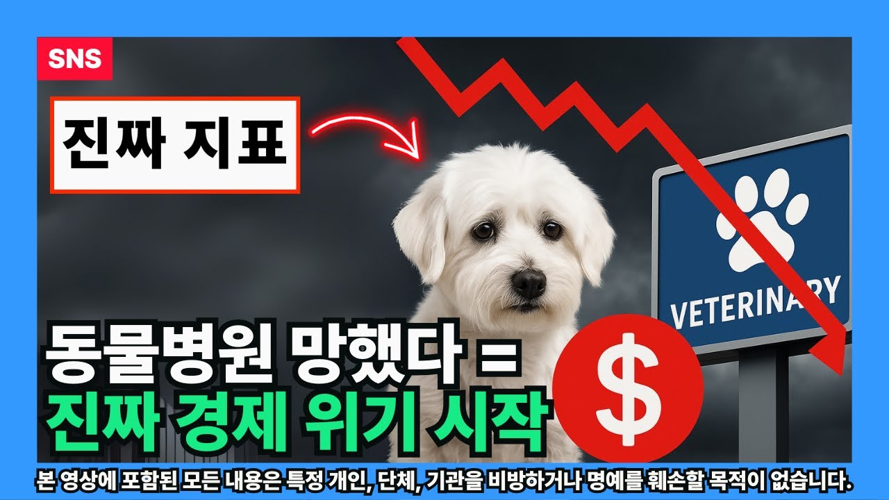 [불황] 동물병원 망했다 = 진짜 경제 위기 시작 (동네의 관점)