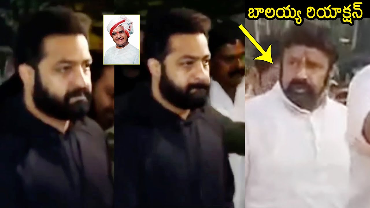 Balakrishna Reaction Towards Jr NTR At NTR Ghat | Balakrishna Latest Video | News Buzz