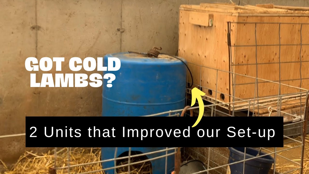 Lambing in Colder Temperatures.  We Added DIY Units to Assist with Newborns.  #sheepfarming