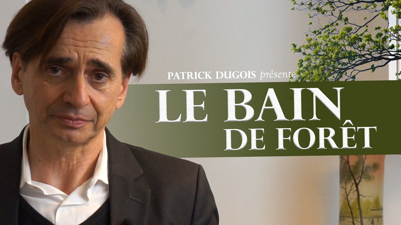 Les bienfaits du bain de forêt - La Fabrique de Résilience