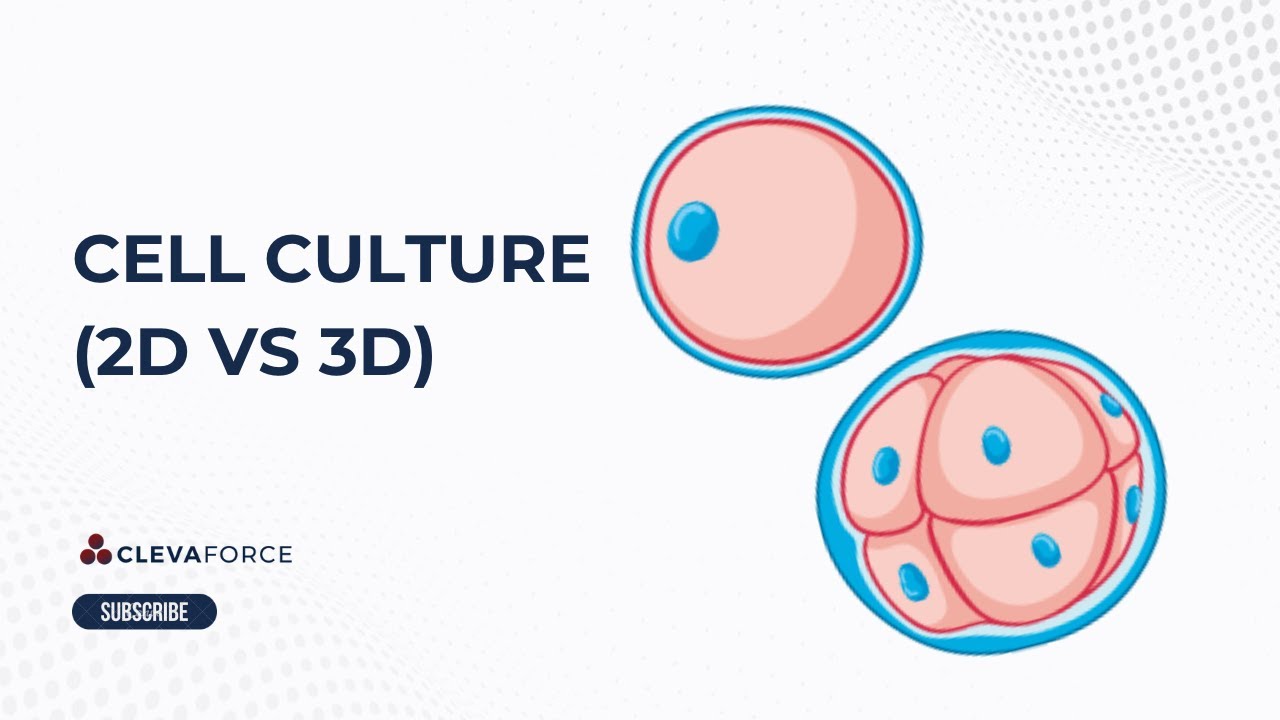 Cell Culture (2D Cell Culture vs 3D Cell Culture)