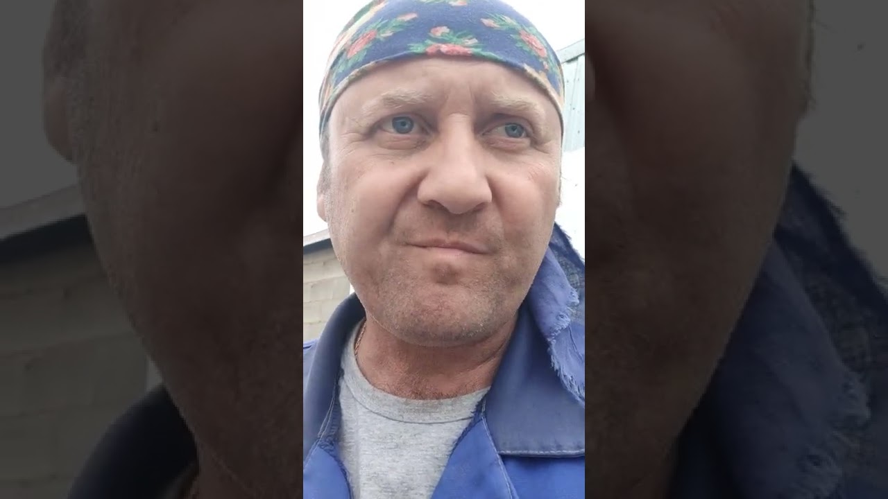 Почему  ошкуриваю Мангалицу? 89085843802