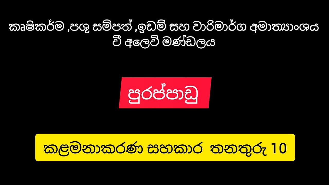 වී අලෙවි මණ්ඩලයේ තනතුරු පුරප්පාඩු l කළමනාකරණ සහකාර තනතුරු 10 #gob#gobs
