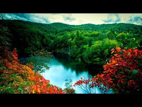 Best Documentary 2016 | Best nature And Wildlife Documentary | Nat Geo Wild Docs
