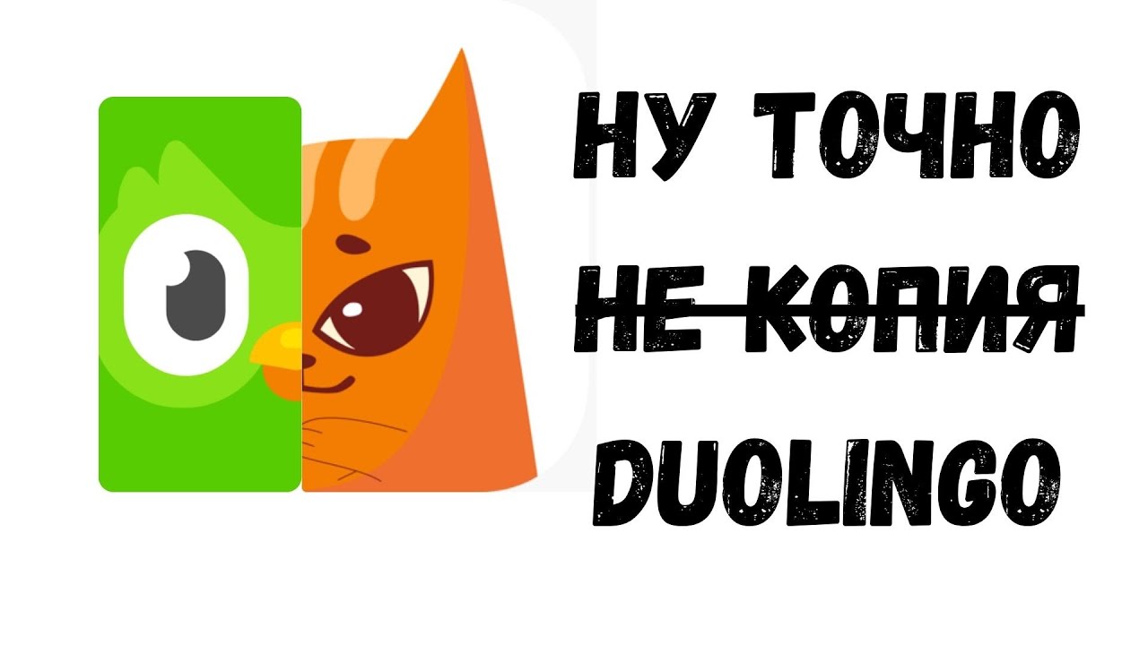 CEO Aleem СОШЕЛ С УМА / Aleem плагиат Duoilingo