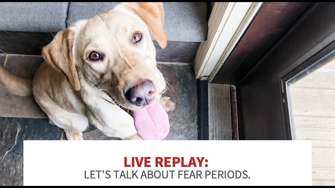 Live Replay: Let's Talk Fear Periods