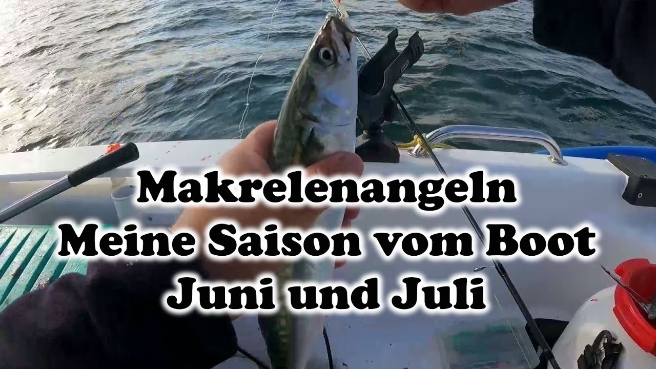 Makrelenangeln. Meine Saison vom Boot im Juni und Juli