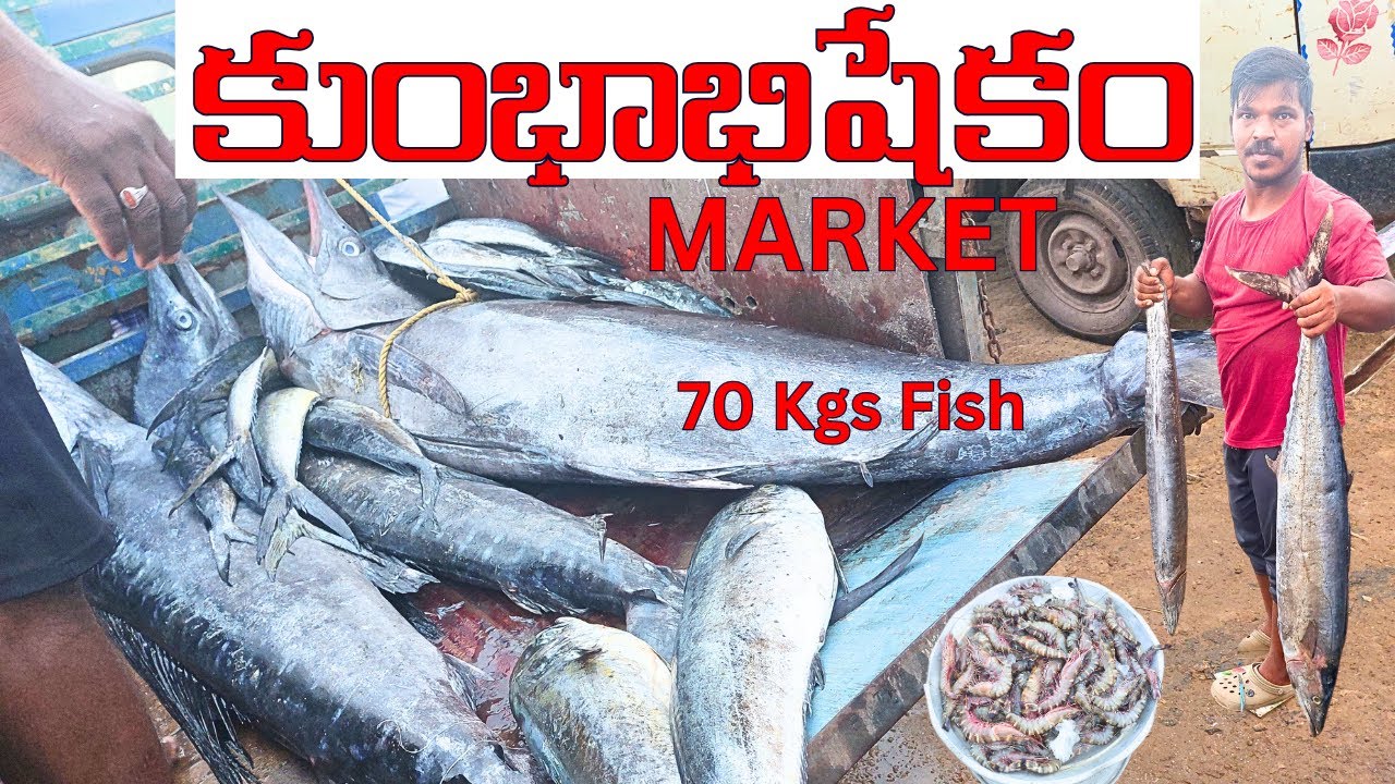 Kumbabishekam Fish Market || Fresh Fish market Kakinada|| Kakinada's BIGGEST Fish Market Tour