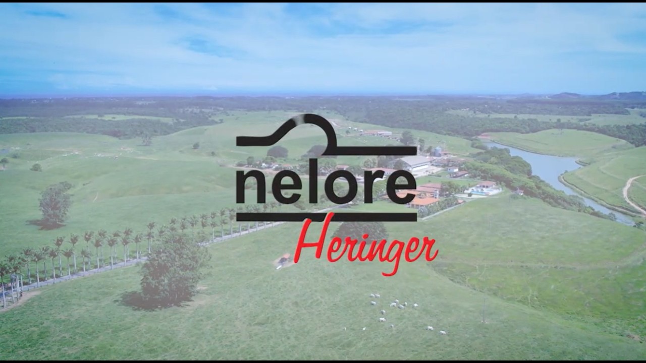 PECUÁRIA EM FOCO - INSTITUCIONAL HERINGER 2026