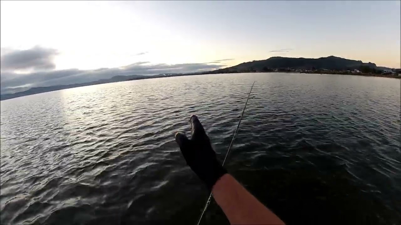 NEW ZEALAND TROUT FISHING TURN TO PAGE 398
