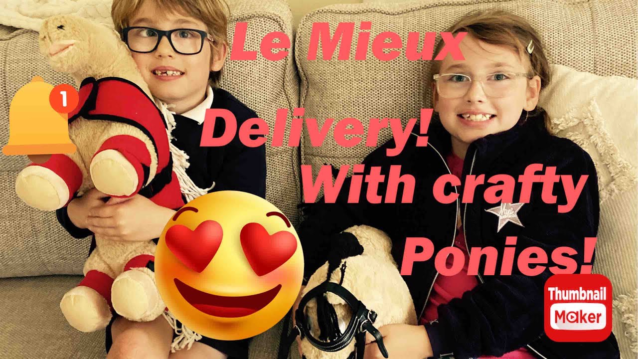 Le Mieux and Crafty Ponies!! Will the tack fit??!!!! We love HORSES