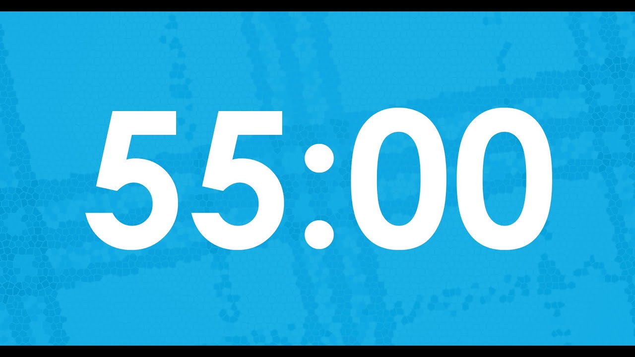 Fifty-Five-Minute (55 min) Countdown Timer