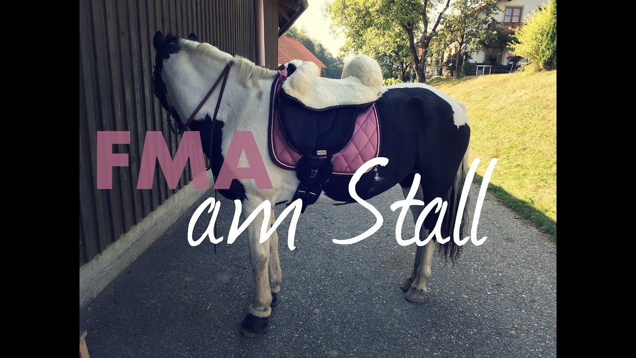 FMA am Stall 🐴 Ausritt mit neuem Ride-On-Pad | A&G HorseDiary