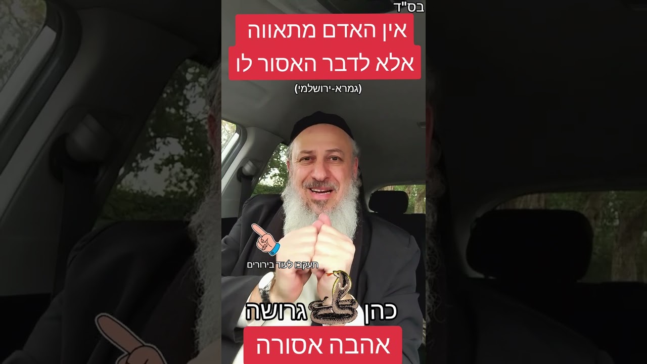 כהן- גרושה,אהבה אסורה.  רק האיסור מחזיק ביניכם...
